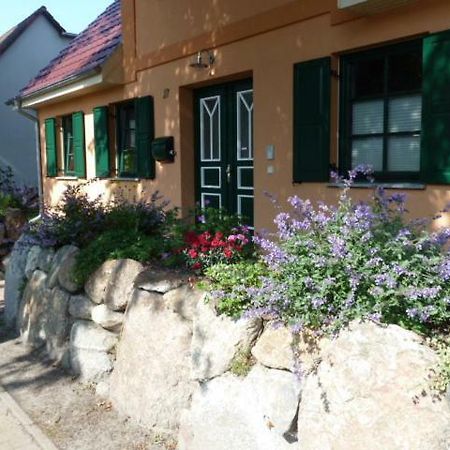 Ferienwohnung Thum Вустров Екстер'єр фото